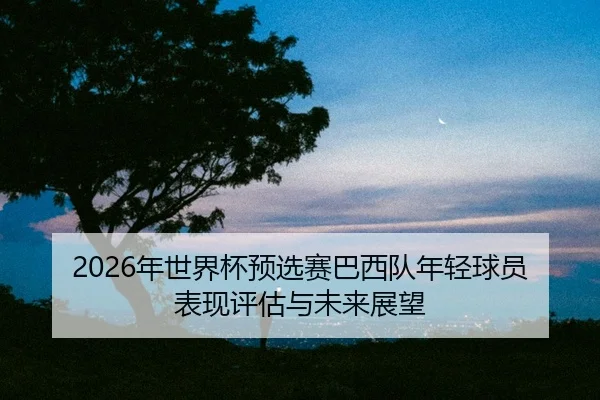 nian-shi-jie-bei-yu-xuan-sai-ba-xi-dui-nian-qing-qiu-yuan-biao-xian-ping-gu-yu-wei-lai-zhan-wang-2-531.jpg