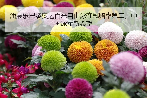 潘展乐巴黎奥运百米自由泳夺冠赔率第二，中国泳军新希望