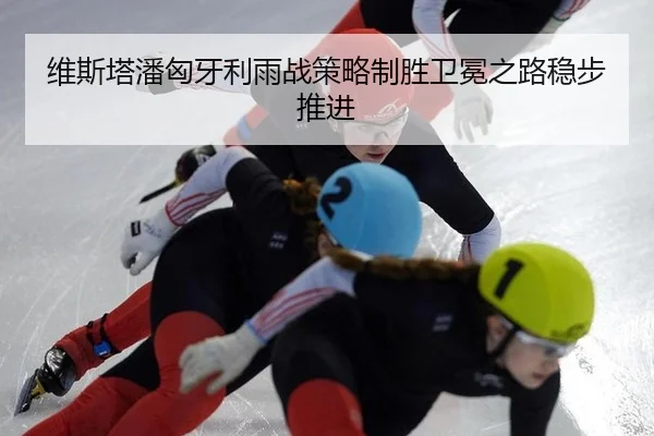 维斯塔潘匈牙利雨战策略制胜卫冕之路稳步推进